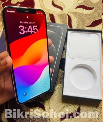 iphone 12 pro max